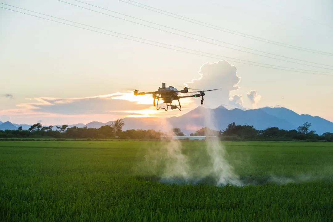 low-altitude economy